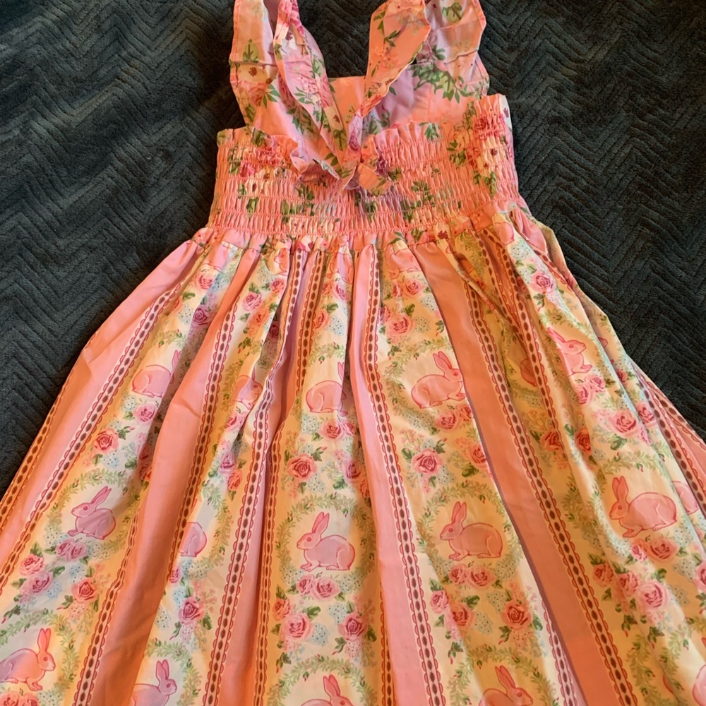 Eleanor Rose Garden Bunnies Dress - Picture 9 of 15